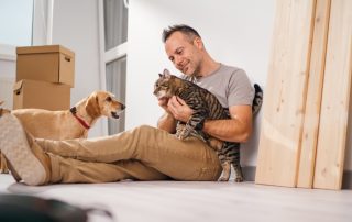 moving with pets